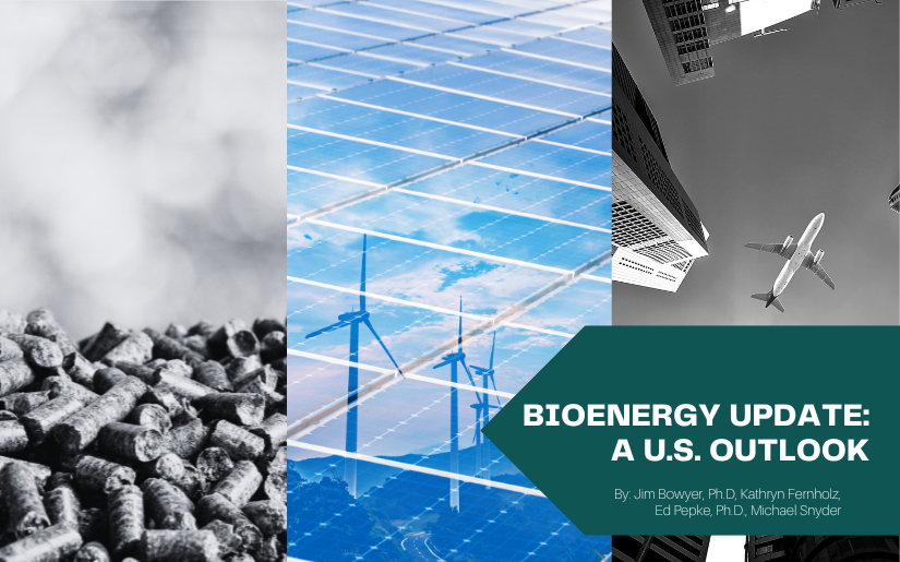 Bioenergy Update: A U.S. Outlook